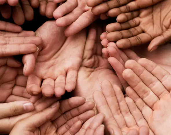 Group Hands - Manon Design Studio