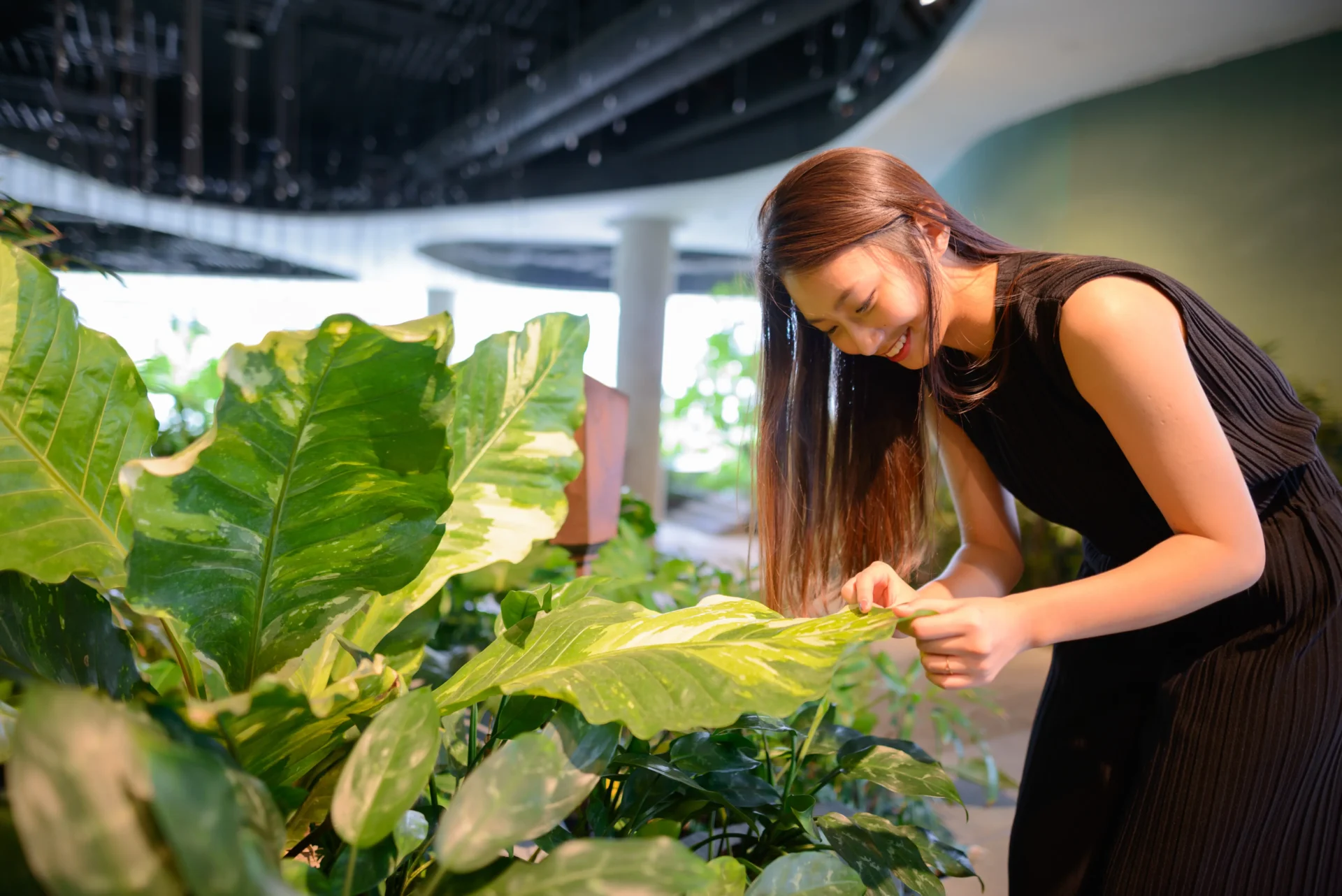 Biophilic Intent - Manon Design Studio