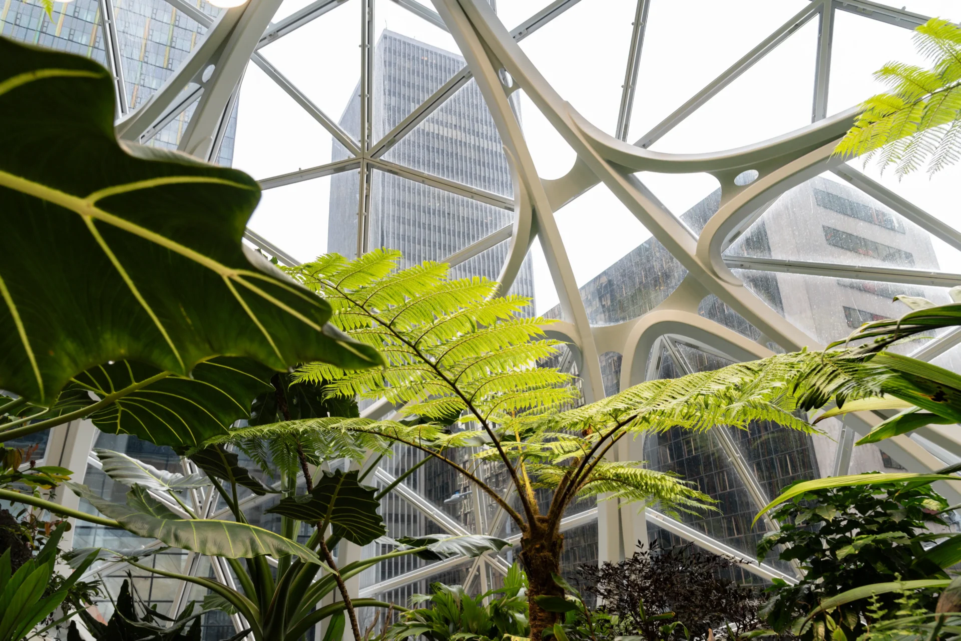 Designing Interiors With Biophilic Intent - Manon Design Studio