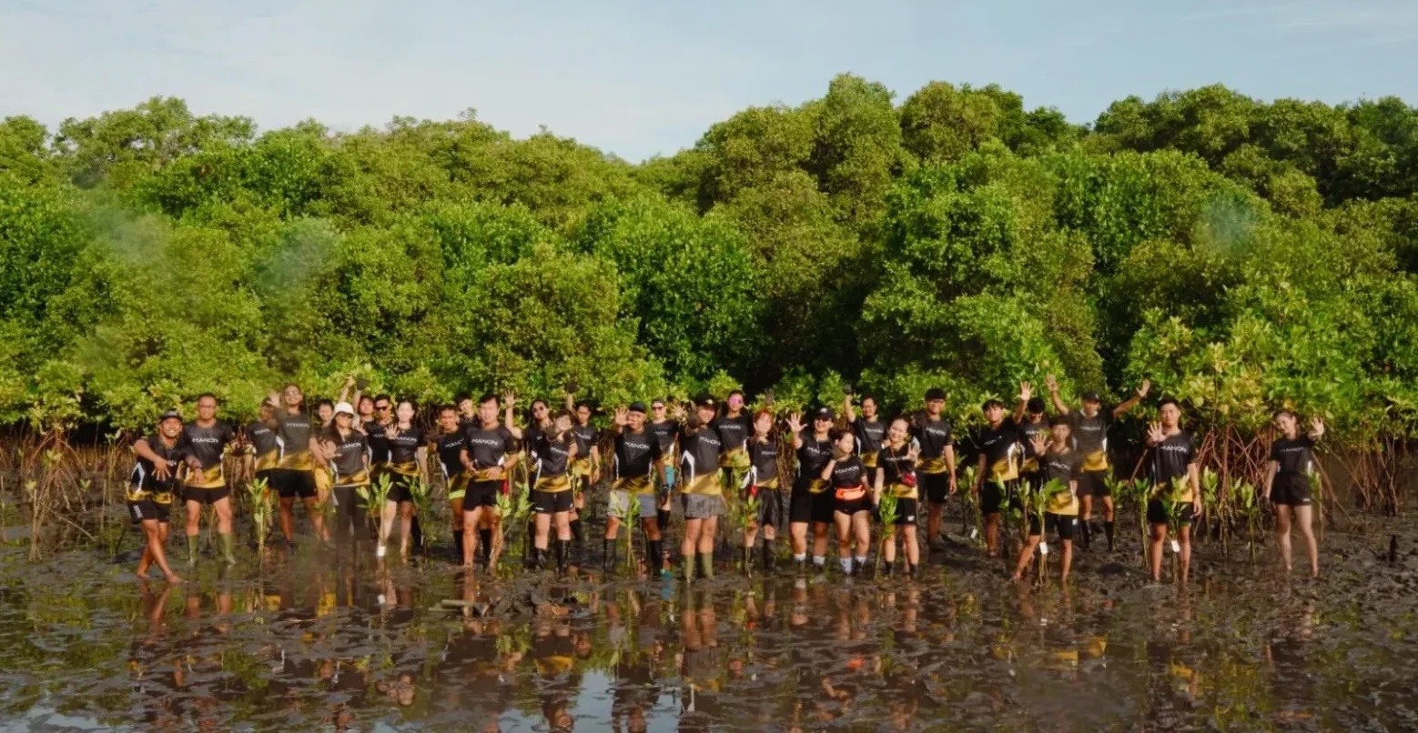 group standing in mangrove forest