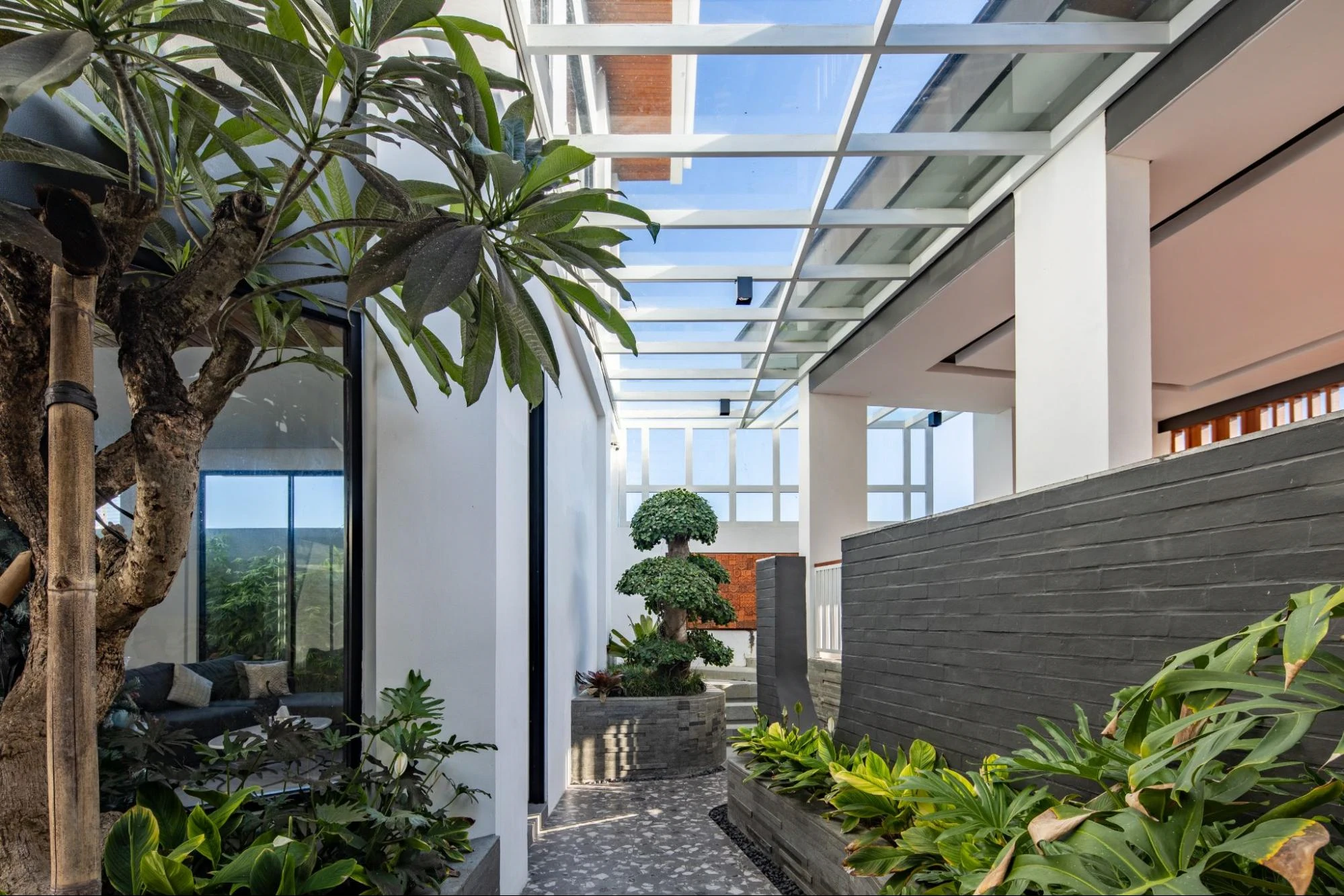 Modern indoor courtyard with a glass roof and plants