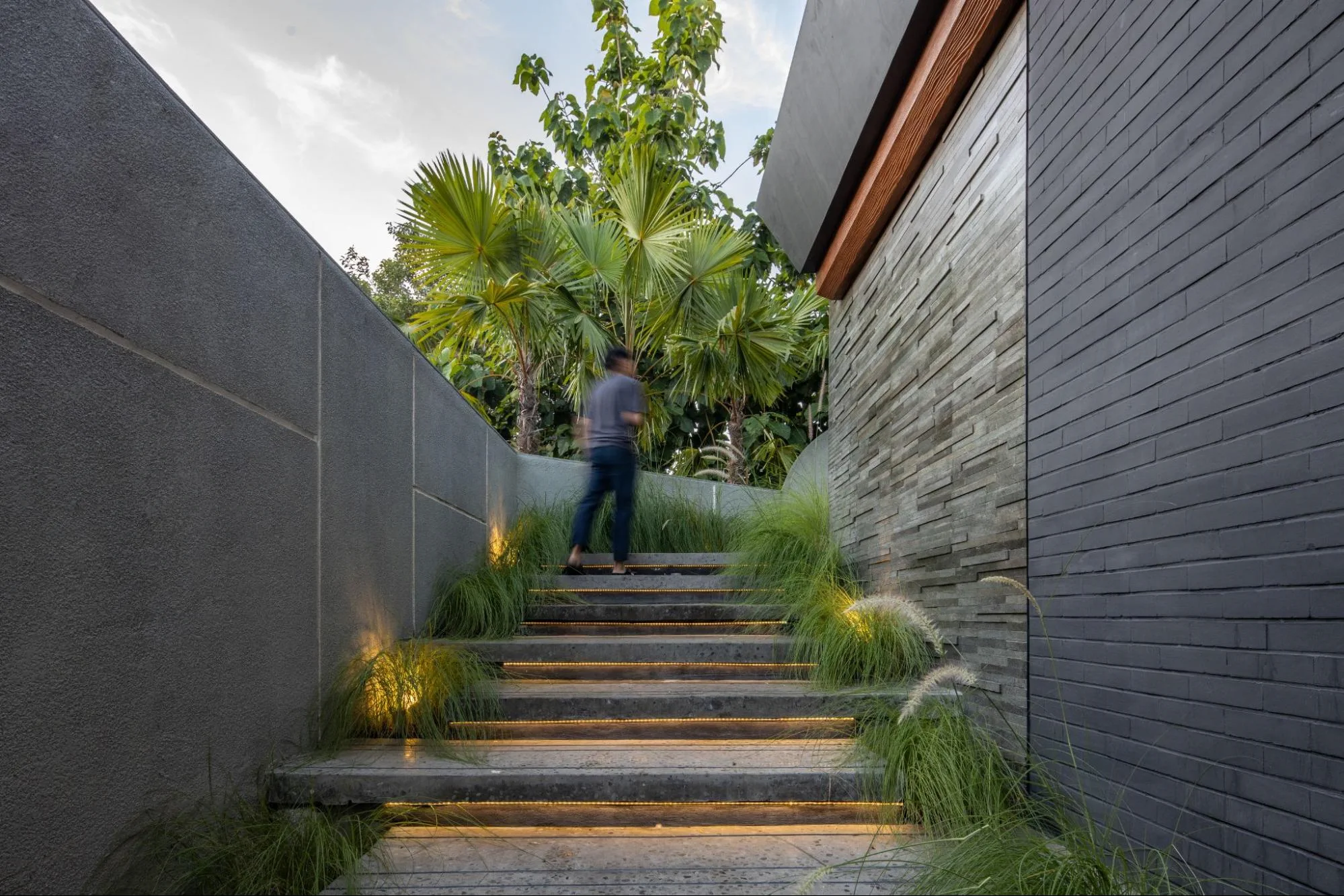 Modern outdoor stairs with LED lighting and plants